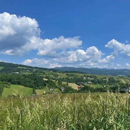 Ferienhaus Przystanek Przylasek