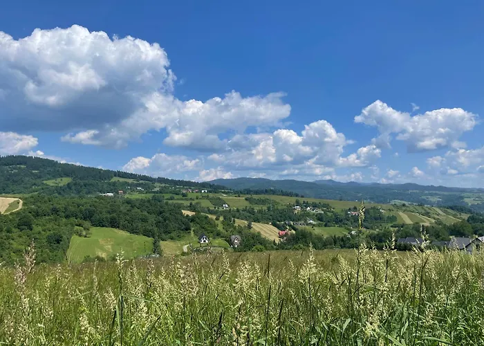 בית נופש Przystanek Przylasek